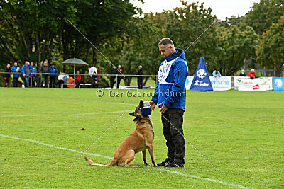 Brave Brisko von den zauberhaften Teufeln