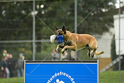 Brave Brisko von den zauberhaften Teufeln