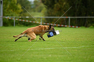 Brave Brisko von den zauberhaften Teufeln