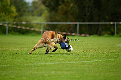 Brave Brisko von den zauberhaften Teufeln