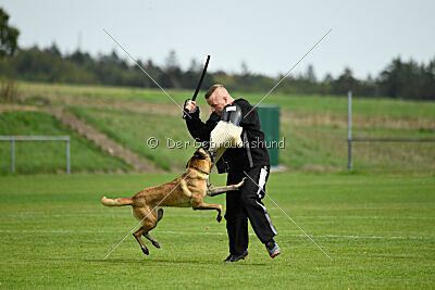 Bree Bonfire von Zamonien