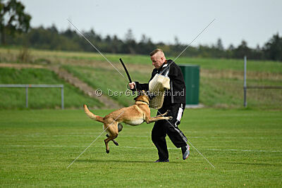 Bree Bonfire von Zamonien