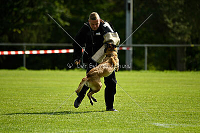 Bree Bonfire von Zamonien