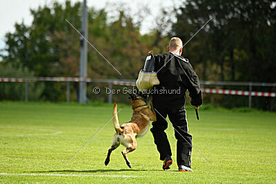 Bree Bonfire von Zamonien