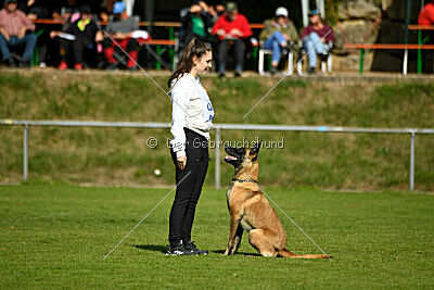 Bree Bonfire von Zamonien