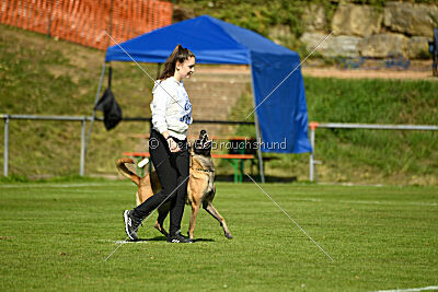 Bree Bonfire von Zamonien