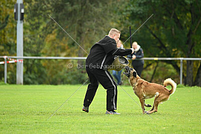 Brianna vom Giannioti Sports Dog