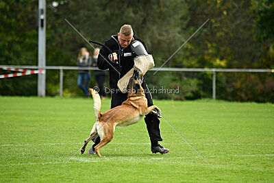 Brianna vom Giannioti Sports Dog