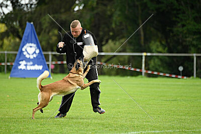 Brianna vom Giannioti Sports Dog