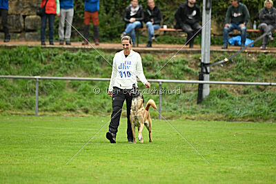 Brianna vom Giannioti Sports Dog