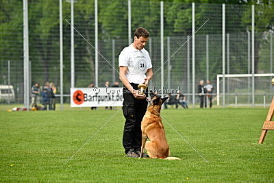 Brisko vom Greifenring