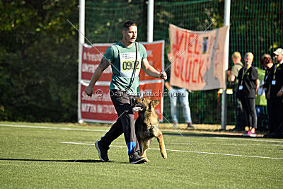 Brix vom Kattenstedter Busch