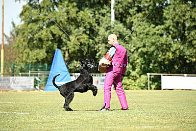 Brösel vom Lindelbrunn