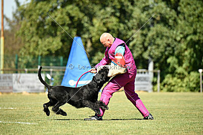 Brösel vom Lindelbrunn