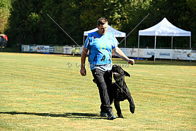 Brösel vom Lindelbrunn