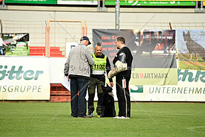 Brooklyn vom blauen Milan