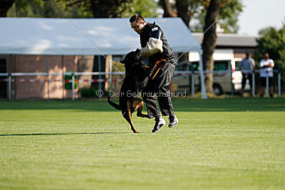Brooklyn von der Drachenhöhle