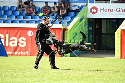 Broxx Canis Invictus