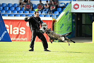 Broxx Canis Invictus