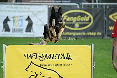 Bruce von der Michelbacher Heide