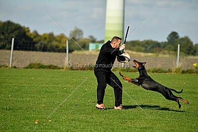 Brückendorfer Bonni
