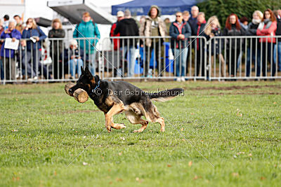 Bruno vom Wolfsstolz