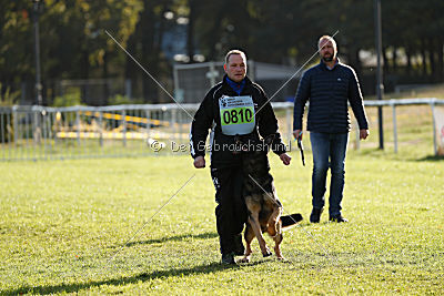 Bruno vom Wolfsstolz