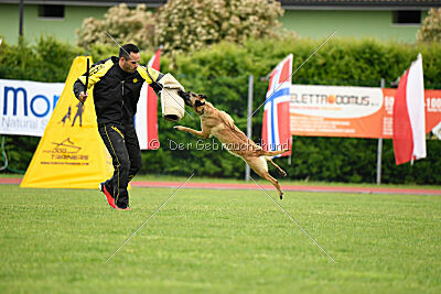 Buckcherry Fox Garden