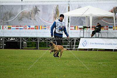 Buckcherry Fox Garden