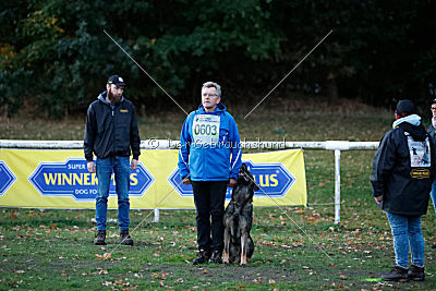 Buffalo vom Haus Vortkamp