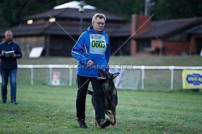 Buffalo vom Haus Vortkamp