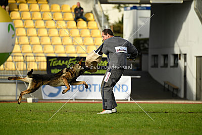 Buffalo vom Haus Vortkamp