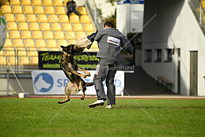 Buffalo vom Haus Vortkamp