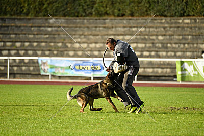 Buffalo vom Haus Vortkamp