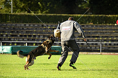 Buffalo vom Haus Vortkamp