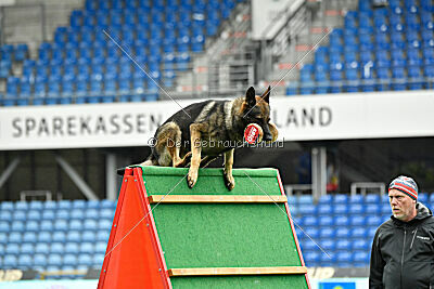 Bugsy from Korinthiakos