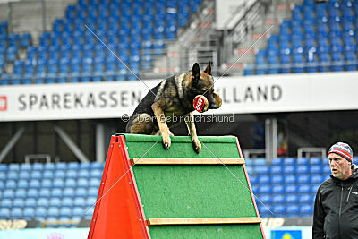 Bugsy from Korinthiakos