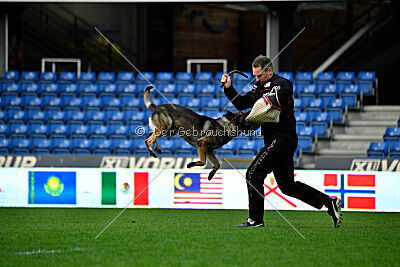 Bugsy from Korinthiakos