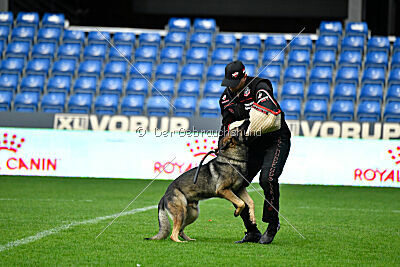 Bugsy from Korinthiakos