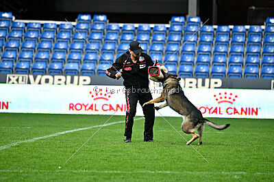 Bugsy from Korinthiakos