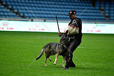 Bugsy from Korinthiakos