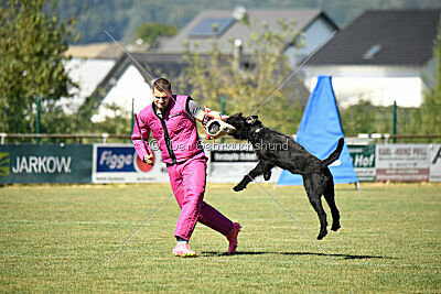 Bullit vom Lindelbrunn