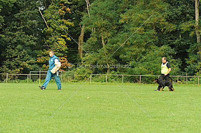 Bullweih vom Schandpfahl