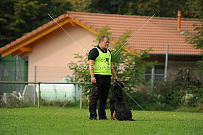 Bullweih vom Schandpfahl