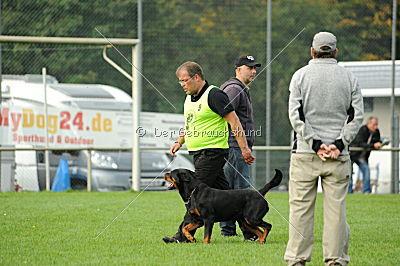 Bullweih vom Schandpfahl