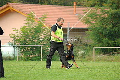 Bullweih vom Schandpfahl