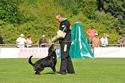 Bullweih vom Schandpfahl