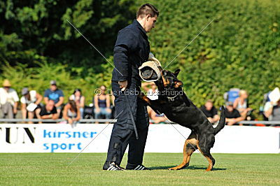 Bullweih vom Schandpfahl