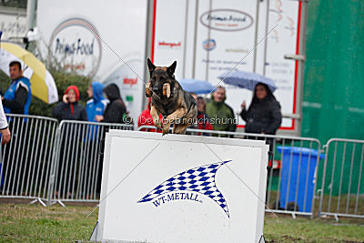 Bushido von Hund und Sport