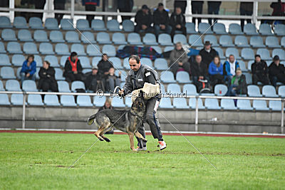 Bushido von Hund und Sport